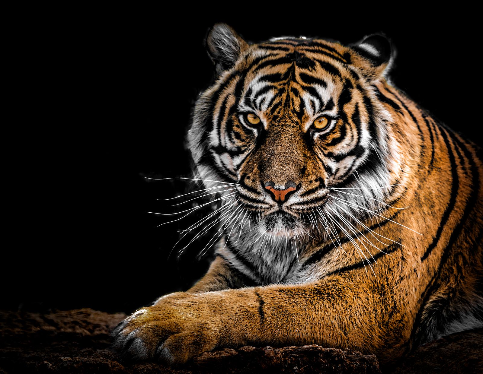 Ranthambore Safari Planning Guide (Honest Expectations)